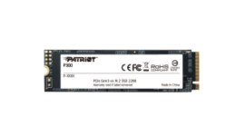 Dysk SSD Patriot P300 1TB M.2 2280 PCIe NVMe (2100/1650 MB/s)