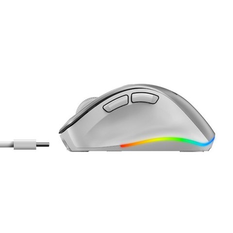 Mysz bezprzewodowa, Genius Ergo 9000S Pro, srebrna, optyczna, 2400DPI