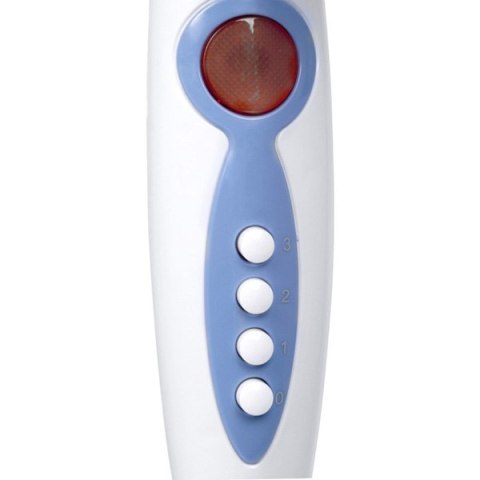 Orava biało-niebieska