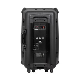 Aktywna kolumna głośnikowa (z 2 mikrofonami bezprzewodowymi UHF, SD, Bluetooth, FM, USB) 60 Watt