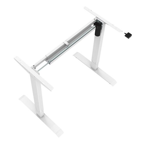 Biurko, elektycznie regulowany, buk, 75x140cm, regulacja rozstawu 500mm, 100V-240V, biały, 70 kg nośność, ergo