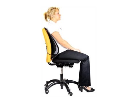 Podpora pleców z siateczką Fellowes Office Suites