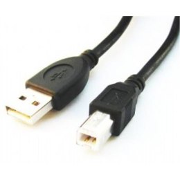 Gembird | Kabel USB | Męski | 4-pinowy USB typ A | Męski | Czarny | 4-pinowy USB typ B | 3 m