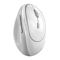 Mysz bezprzewodowa, Genius Ergo 8350S, biała, optyczna, 2400DPI