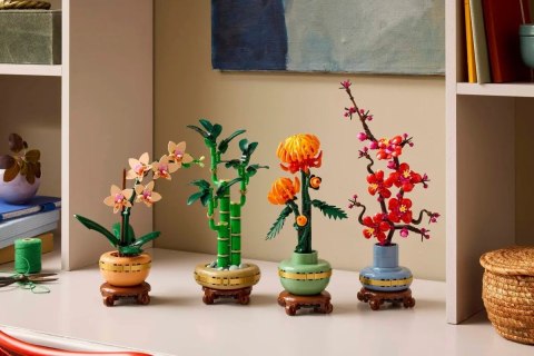 LEGO Botanical Collection 10344 - Dracena sandera