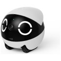 Inteligentny robot towarzyszący ENABOT ROLAMINI