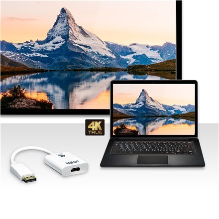 Aten VC986B True 4K DisplayPort to HDMI 2.0 Active Adapter