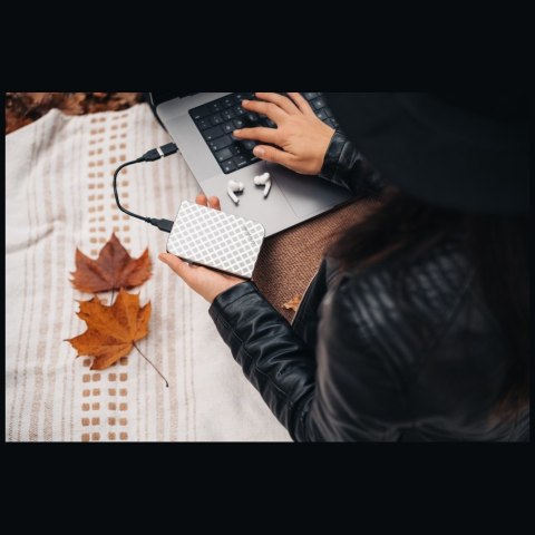 Dysk zewnętrzny Verbatim Store n Go USB 3.0 HDD 1TB srebrny 53197