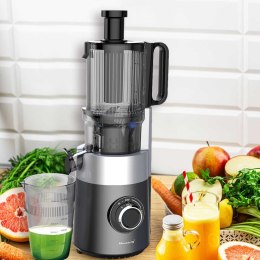 SOKOWIRÓWKA WYCISKARKA WOLNOOBROTOWA PIONOWA KLAUSBERG KB-7881