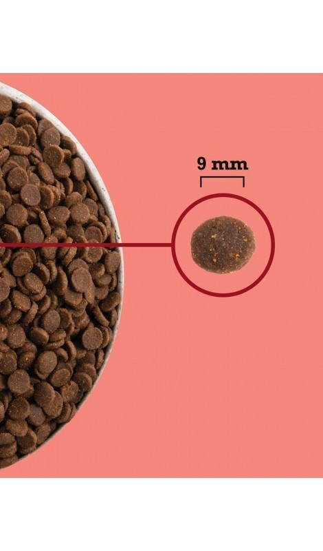 ACANA Highest Protein Indoor Cat 1,8kg