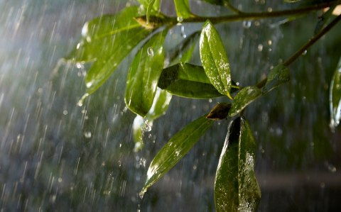 Philips Hue Outdoor 24V Cable Extension 5m | Philips Hue