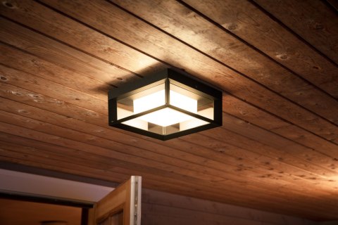 Philips Hue WCA Econic Outdoor Square Wall Lantern | Philips Hue