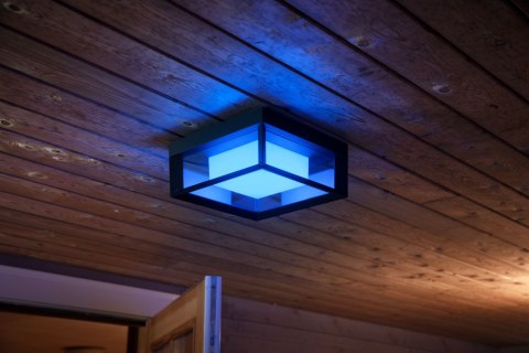Philips Hue WCA Econic Outdoor Square Wall Lantern | Philips Hue