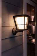 Philips Hue WCA Econic Outdoor Wall Lantern Up | Philips Hue