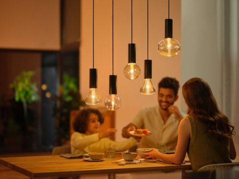 Philips Hue WCA Lightguide G95 E27 | Philips Hue