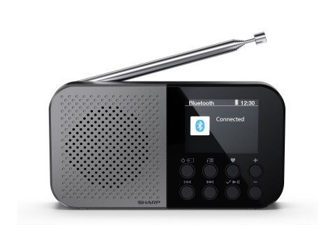 Sharp DR-P520(GY) OSAKA Pocket/Handheld Portable Digital Radio, Grey | Sharp