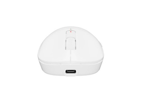 Fury Gaming Mouse | Tanto T4 | Wired/Wireless | 2.4 GHz, Bluetooth, USB | White