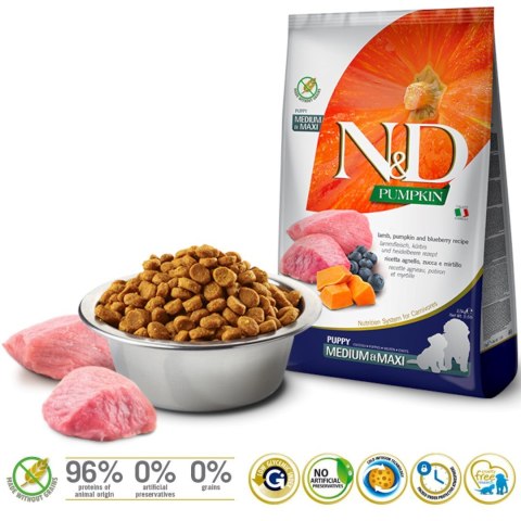 FARMINA N&D Pumpkin Lamb & Blueberry Puppy Medium & Maxi - sucha karma dla szczeniąt - 2,5kg