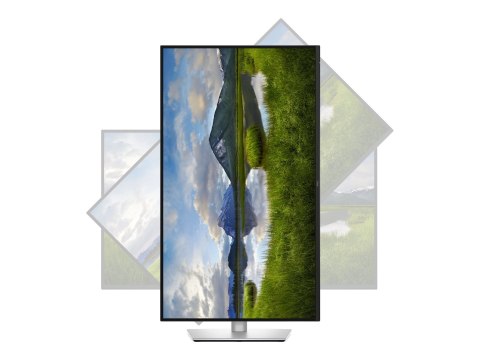 Dell LCD P3225QE 32" IPS UHD/3840x2160/HDMI,DP,USB-C,USB,RJ45/Black,Silver