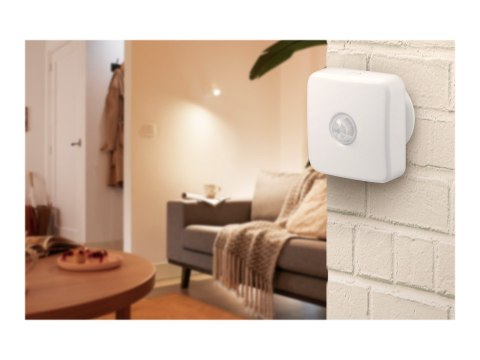MOTION SENSOR EU Wizarding World