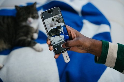 Verbatim USB flash disk, USB C, 512GB, Plectra, biały, 30231, USB C