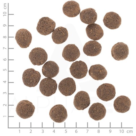 WOLFSBLUT Vetline Hypoallergenic 2kg