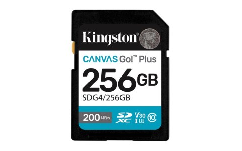 SDG4/256GB