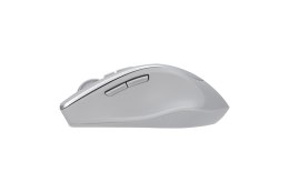 Asus WT425 MOUSE/SIL