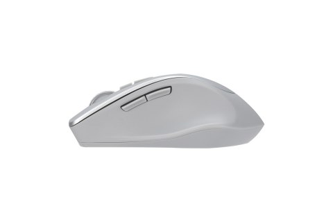 Asus WT425 MOUSE/SIL
