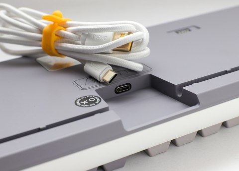 Klawiatura gamingowa Ducky One 3 TKL USB US English (100043092) Srebrny