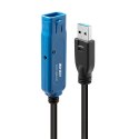 Lindy 43157 kabel USB USB 3.2 Gen 1 (3.1 Gen 1) 10 m USB A Czarny