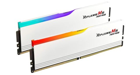 G.Skill 32 GB | DDR5 | 6000 MHz | PC/server | Registered No | ECC No