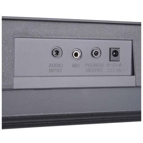 MK 2106 KEYBOARD - Organy z mikrofonem dla dzieci do nauki gry