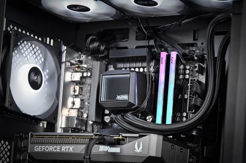 Actina SELECTION 245K/32GB/1TB/RTX5070/700W