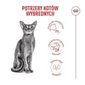ROYAL CANIN FHN Cat Exigent Fussy 4kg