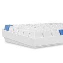 Sharkoon SKILLER SGK50 S3 PBT klawiatura Gaming USB QWERTZ Niemiecki Biały
