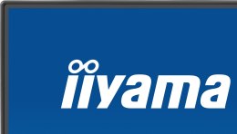 Iiyama ProLite 24-calowy panel IPS Full HD z wąskimi ramkami z każdej strony i klasą energetyczną B