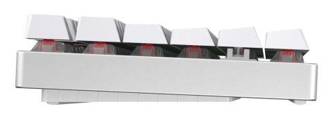 CHERRY MX 8.2 - XAGA Edition - Klawiatura - 80% - TKL - Podświetlenie - Bezprzewodowe - Bluetooth 5.2, 2.4 GHz, USB-C - QWERTZ -