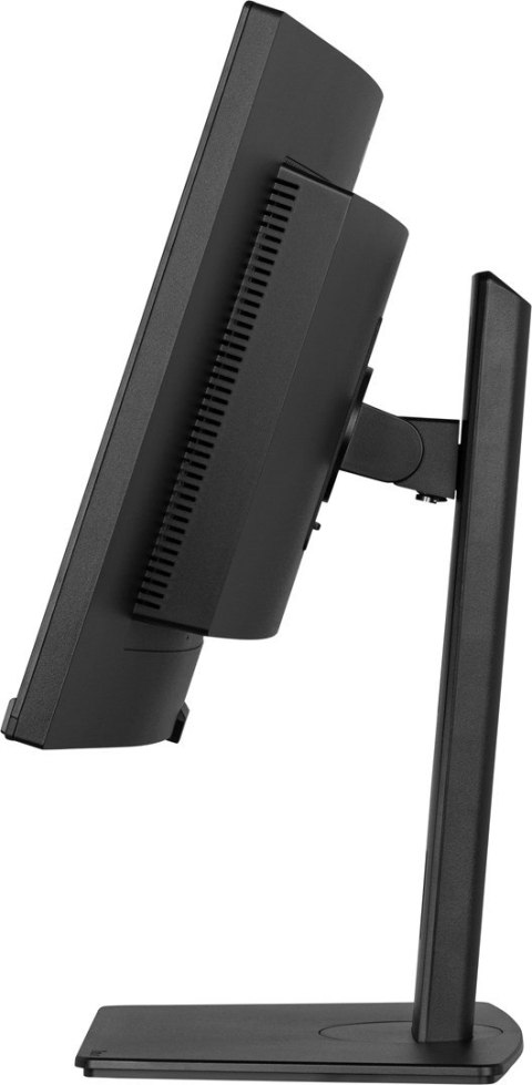 Monitor iiyama XCB3494WQSU-B1 34" - Płaski ekran - 86,4 cm