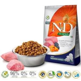 Farmina N&D Pumpkin sucha karma dla szczeniąt ras średnich i dużych z jagnięciną 12kg