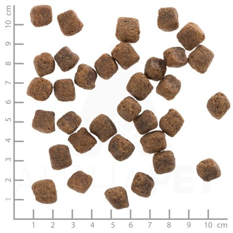 WOLFSBLUT Black Bird Adult turkey/sweet potat.12,5kg