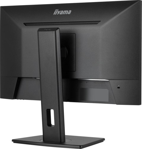 Monitor LED Iiyama ProLite XUB2493HSU-B7 - 24 - Płaski ekran - 60,5 cm