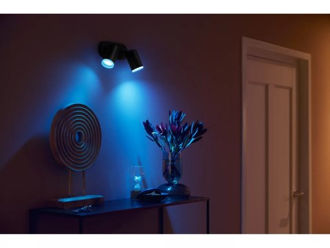 Philips Hue WCA Fugato Spotlight GU10 2x5.7W, Black | Philips Hue