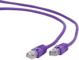 GEMBIRD Patchcord Cat.6 0.5 m Fioletowy 0.5 Patchcord