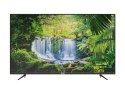 Telewizor 55" TCL 55P615 (DVB-T2/HEVC, 4K HDR SmartTV) (WYPRZEDAŻ)