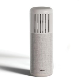 HiFuture głośnik Bluetooth Wedgebrązowy/brown (HEB9BN)
