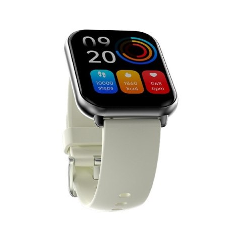 HiFuture smartwatch Zone 2szary/grey (HSFZ2SL)