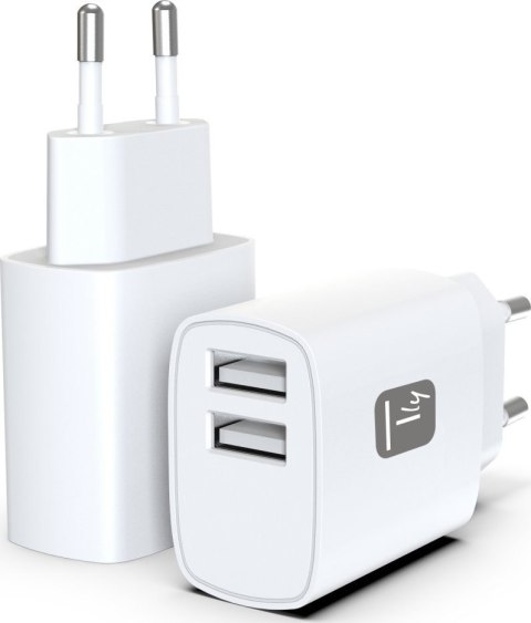 Ładowarka TECHLY IPW-USB-12W2A(2x USB typu A\5V)