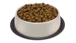 Arquivet Fresh Senior 10kg