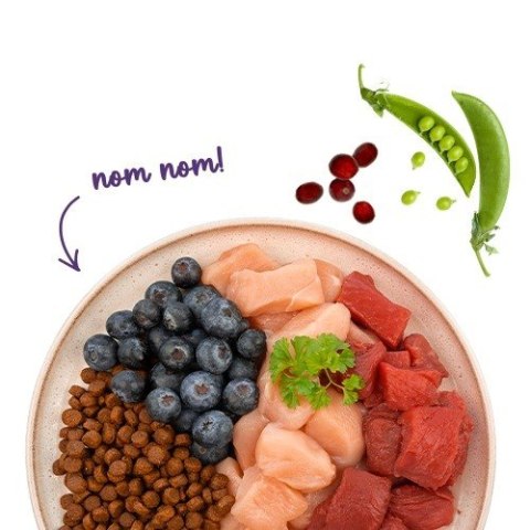 BOSCH Sanabelle Adult Struś 2kg